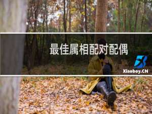 最佳属相配对配偶