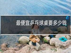 最便宜乒乓球桌要多少钱