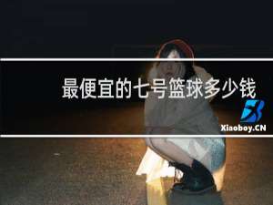最便宜的七号篮球多少钱