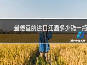 最便宜的进口红酒多少钱一瓶