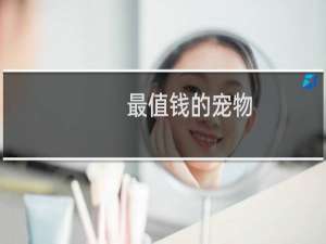 最值钱的宠物