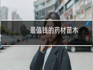 最值钱的药材苗木
