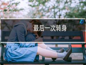 最后一次转身(关于最后一次转身的简介)