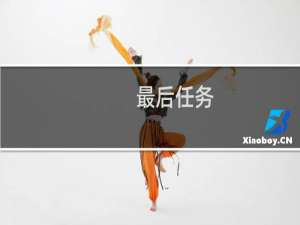 最后任务(关于最后任务的简介)
