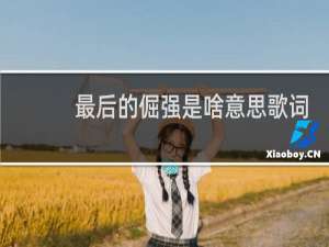 最后的倔强是啥意思歌词，这是我最后的倔强什么梗什么梗