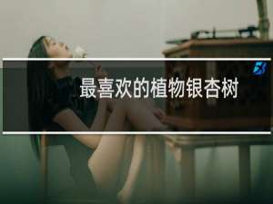 最喜欢的植物银杏树