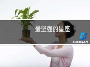 最坚强的星座