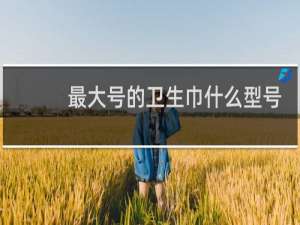 最大号的卫生巾什么型号