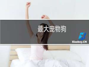 最大宠物狗