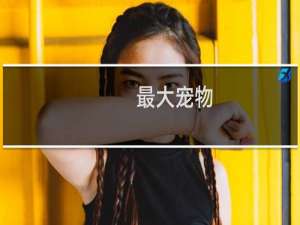 最大宠物
