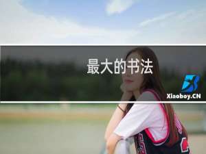 最大的书法