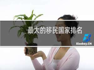 最大的移民国家排名