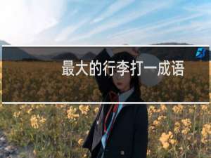 最大的行李打一成语