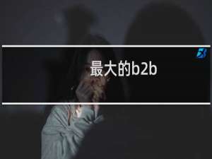 最大的b2b