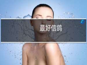 最好信鸽