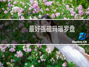最好强磁玛瑙罗盘