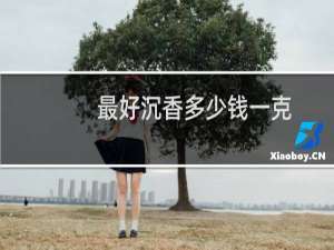 最好沉香多少钱一克