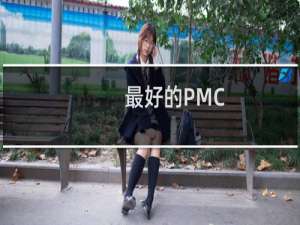 最好的PMC