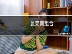 最完美组合(关于最完美组合的简介)