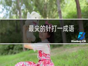 最尖的针打一成语