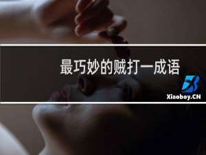 最巧妙的贼打一成语
