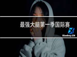 最强大脑第一季国际赛