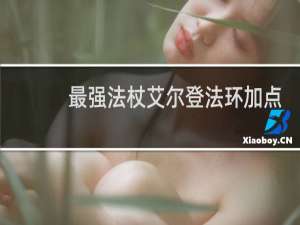 最强法杖艾尔登法环加点
