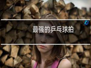 最强的乒乓球拍