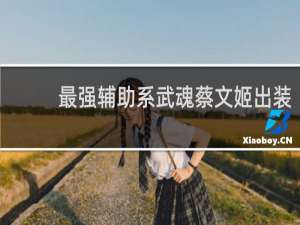 最强辅助系武魂蔡文姬出装