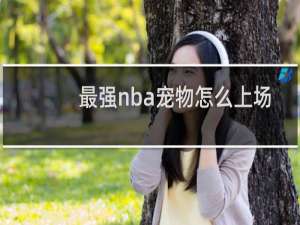 最强nba宠物怎么上场