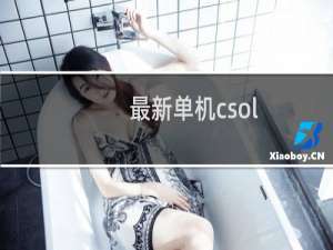 最新单机csol