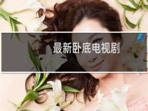 最新卧底电视剧