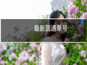 最新圆通单号