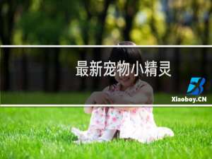 最新宠物小精灵