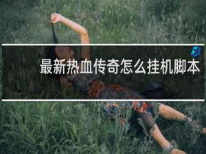 最新热血传奇怎么挂机脚本