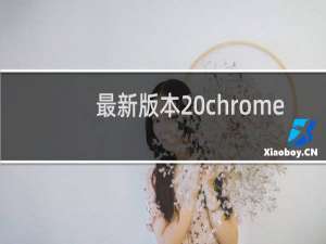 最新版本 chrome