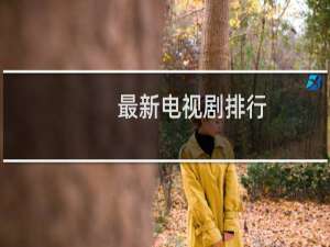 最新电视剧排行
