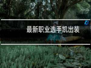 最新职业选手凯出装