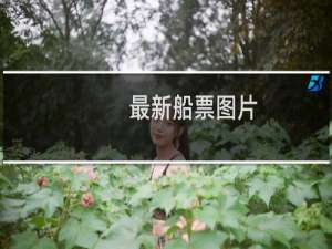 最新船票图片
