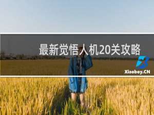 最新觉悟人机20关攻略
