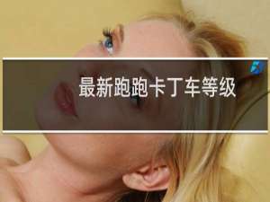 最新跑跑卡丁车等级