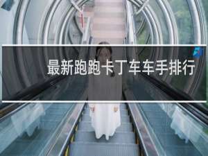 最新跑跑卡丁车车手排行