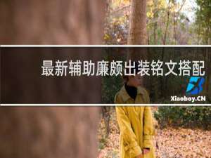 最新辅助廉颇出装铭文搭配