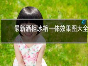 最新酒柜冰箱一体效果图大全