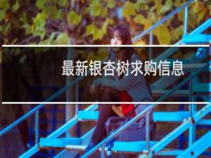 最新银杏树求购信息