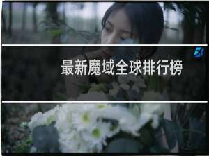 最新魔域全球排行榜
