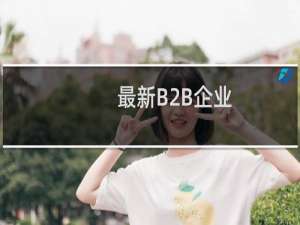 最新B2B企业