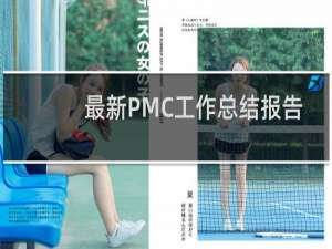 最新PMC工作总结报告