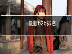 最新b2b排名