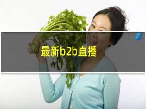 最新b2b直播